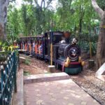 cubbon-park (2)