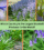 Which Country Is the Largest Bluebell Producer in the World?
